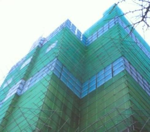 Scaffold net 7